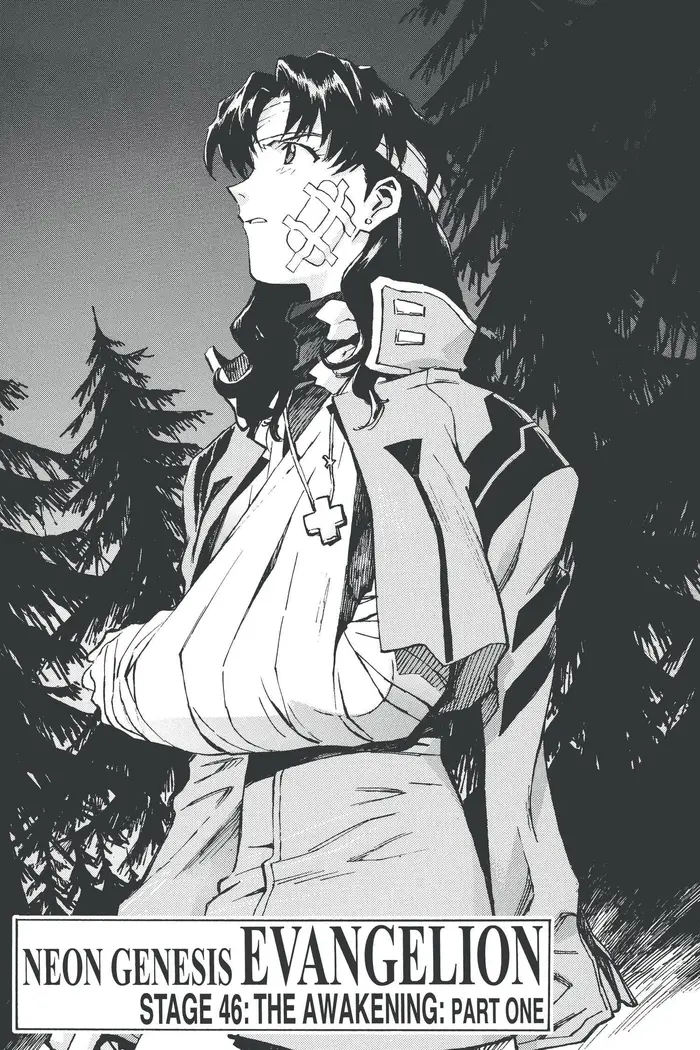 Neon Genesis Evangelion Chapter 46 image 01_optimized